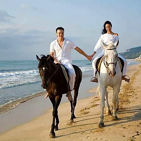 فندق Arabella 4*